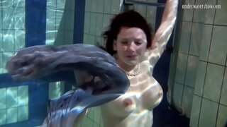 Красотка нискылан кылисько бассейнын уяны.